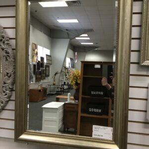 Mirror in Gold Frame
