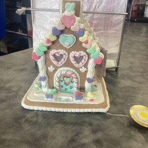 Bella Lux Light Up House