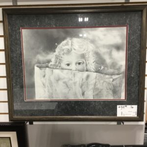 Framed Picture