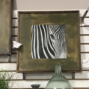 Framed Zebra