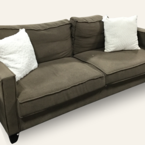 Gray/Brown Couch