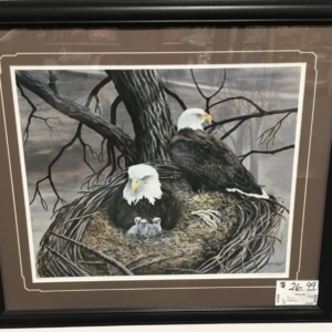 Framed Eagle Picture