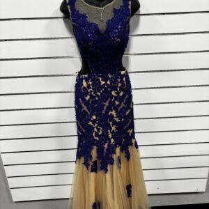 Blue Dave & Johnny Dress