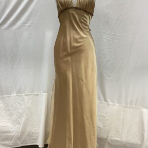 Gold Dress