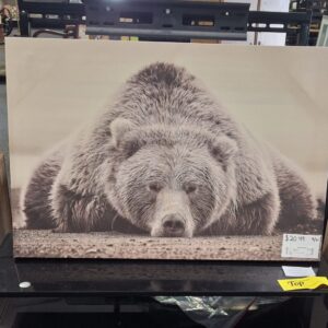 Bear Canvas