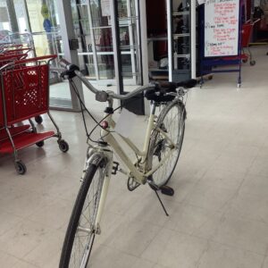 Schwinn Bike