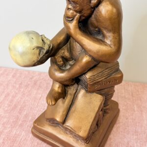 Darwin Ape Pondering Skull