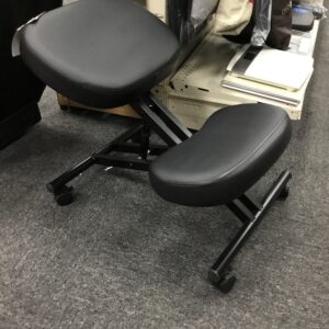 Ergo Office Chair