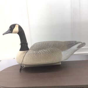 Duck Decoy