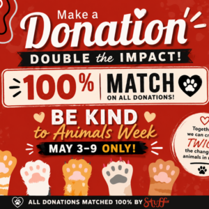 Be Kind to Animals Week at Stuff Etc: Double Your Impact May 3–9