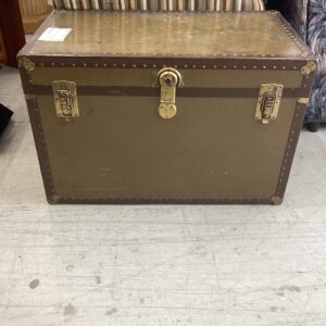 Brown Trunk