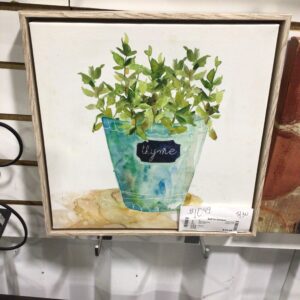 Thyme Picture