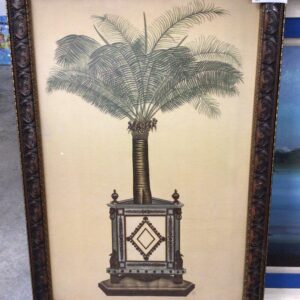 Palm Tree Picture