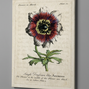 Floral Canvas