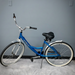 Blue Bike