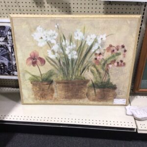 Flower Picture