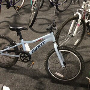 Gray Kid's Giant Bike
