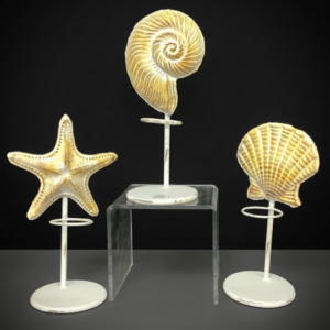 Shell Candle Holders