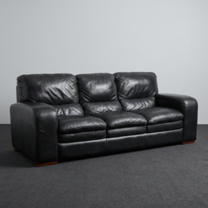 Leather Couch
