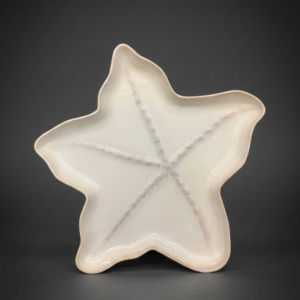 Sand Dollar