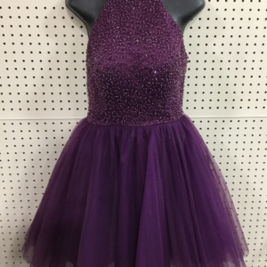 Purple Dress