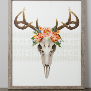 Skull Picture
