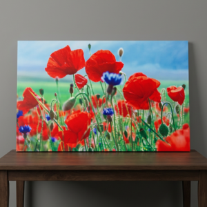 Poppy Canvas