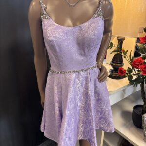 Intriqued Dress