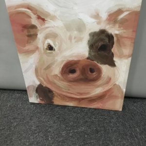 Pig Canvas
