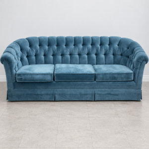 Blue Couch