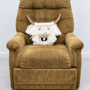 Cushioned Recliner
