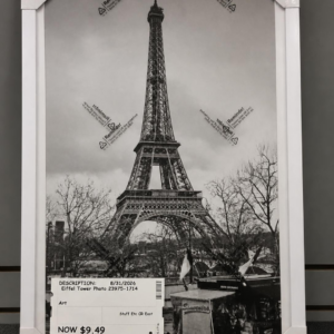 Eiffel Tower Picture