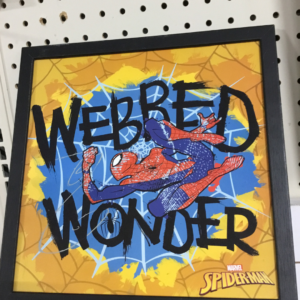 Spider Man Picture