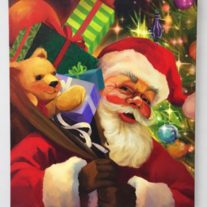 Santa Picture