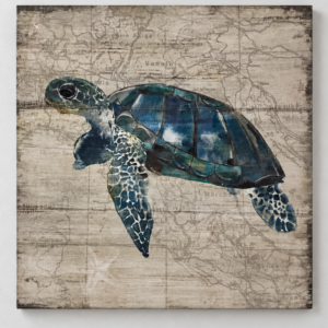 Sea Turtle Art