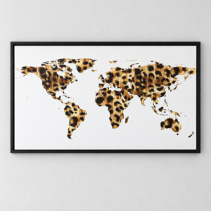 African Picture