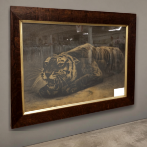 Tiger Picture