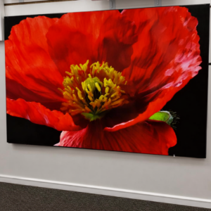 Flower Picture